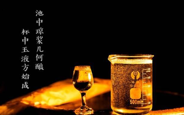 白云边9年多少钱一瓶42度陈酿 白云边9年陈酿价格39度